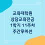 상담심리교육대학원 [18] 1학기 수업 11주 차 '주간루미썬'