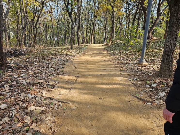 파주 운정 호수공원 맨발걷기 (전국 어싱하기 좋은곳 찾기)