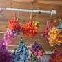 프리저브드꽃만들기 천일홍염료작업