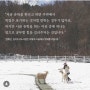 릴리의 현재 인터뷰 요청-시골유학 농촌유학의 힘으로 사립중 합격 외국유학 새로운 도전.(강원고성신문)