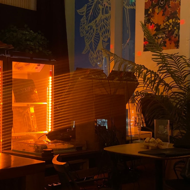 Dank Yard Listening Bar