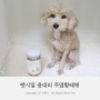 강아지황태간식 펫시밀 용대리 무염황태채로 챙겨보아요