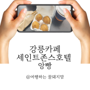 강릉카페 추천 애견동반카페 강릉세인트존스호텔 앙빵