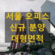 서울 현대테라타워 구로 대형 사무실 분양 구디역 5분