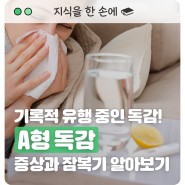 기록적 유행 중인 독감! A형 독감 증상과 잠복기 알아보기 (Feat. 전염성 & 격리)