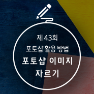 포토샵 이미지 자르기, 단축키와 여러 장 만드는 꿀팁 총집합!