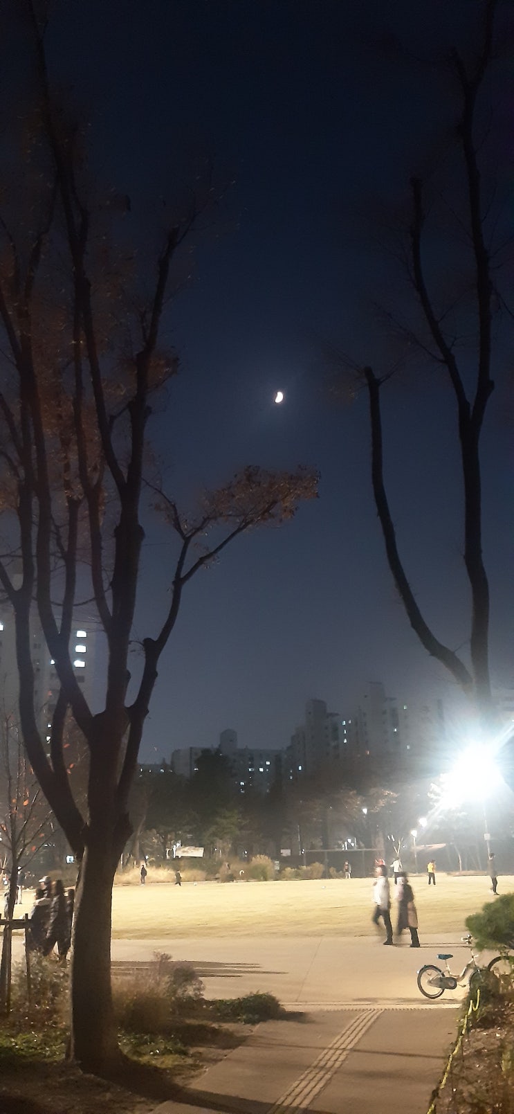 양천공원 책쉼터의 밤풍경 2023.11.19(일)