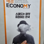 [매경이코노미 2234호] 부동산 기사 정리 / 김포, 서울편입하면 아파트값 오를까