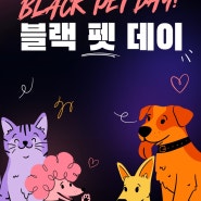 블랙 펫 데이 쇼핑라이브 11월 21일 오전11시!!