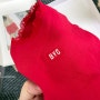 펫페어에서 구매한 BYC 반려견용 에어메리 '빨간내복" M사이즈 후기(말티푸3.1kg)