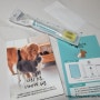 강아지건강검진 인크로비 펫검사