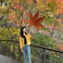 [경기도 광주] 화담숲 :: 예약 꿀팁 및 단풍절정 시기 추천
