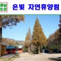 대전근교여행 논산 온빛자연휴양림 그해 우리는 촬영지