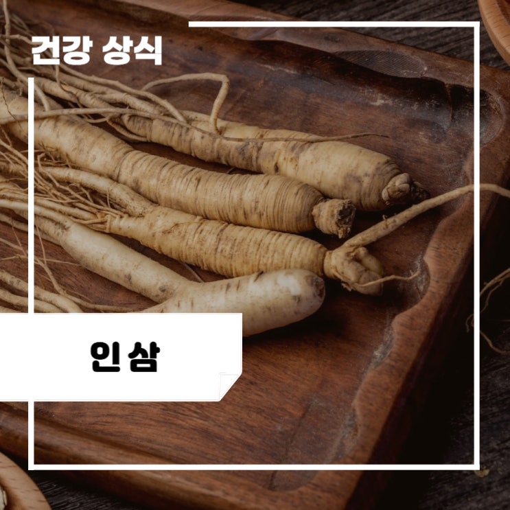 인삼 효능 5가지, 먹는 방법, 부작용, 섭취, 보관방법 : 수삼 차이 : 네이버 블로그