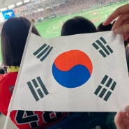 <일본생활> 아시아 프로야구 챔피언십 2023 한국vs일본 결승 도쿄돔 관전 후기