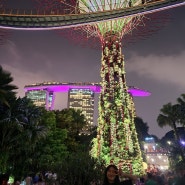 [3박5일 싱가포르] 친구랑 싱가포르 자유여행 2일차 야경 부터 사테거리 정복하기!