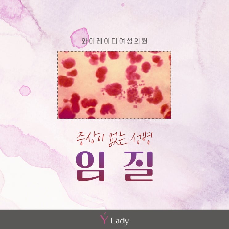 여자 남자 임질 성병 원인 증상 검사 치료 대구달서구산부인과 : 네이버 블로그