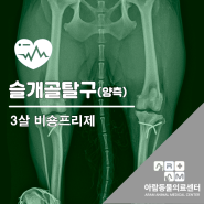 3살 비숑프리제 양측슬개골탈구 3기 - 외과전문동물병원