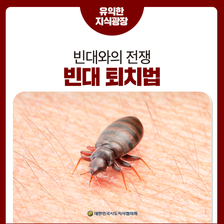 빈대 퇴치법 | 빈대주의보 발생! 빈대 물림과 치료법에 대해 알아보자(+빈대 지도) : 네이버 블로그