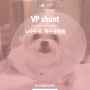 [신경외과][VP Shunt] 9y 말티즈, 뇌실복강단락술 수술 | 브이피션트 강아지vpshunt 뇌수두증치료 | 웨스턴동물의료센터