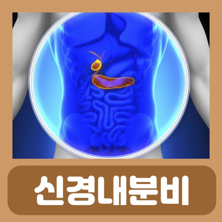 신경내분비 종양 신경내분비암 정리 : 네이버 블로그