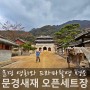 경북 문경 고려거란전쟁 촬영지 문경새재 오픈세트장