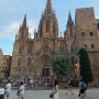 [바르셀로나] 4일차 : 보른지구, 고딕지구 까지, 바르셀로나 대성당, 츄레리아