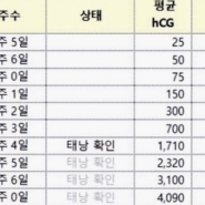 5. 배란 후 18일째 병원방문_물고임/임신증상/임신 피수치/베타에이치씨수치