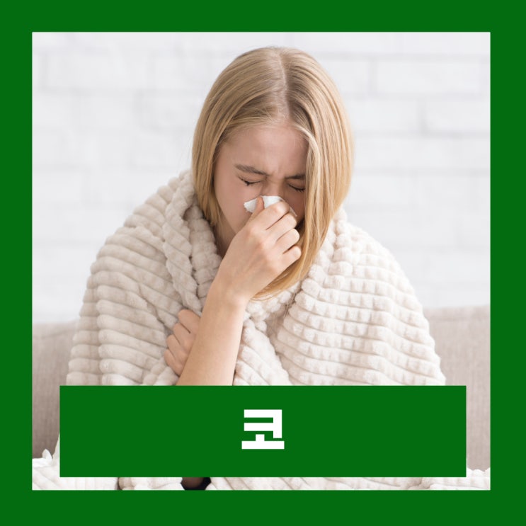 코안 염증 연고 코 헐었을때 증상 원인 코속 안연고 : 네이버 블로그