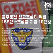 하루방앱 - 11월 22일 제주뉴스