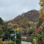 [남산산채집,콤포타블남산,서울역] 남산둘레길 가을나들이