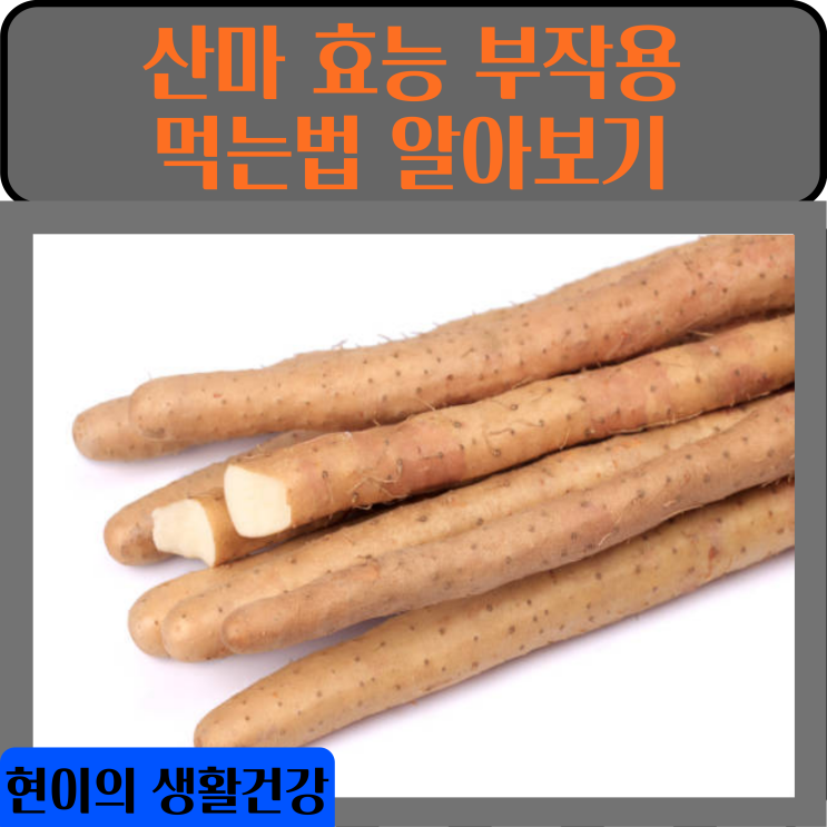 산마 효능 먹는법 부작용 알아보기 : 네이버 블로그