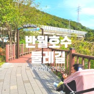 아이랑 갈만한곳 :: 안산 군포 반월호수 둘레길