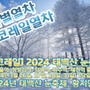 특별열차 - 에코레일열차를 타고 2023년 12월 / 2024년 1월 겨울여행 겨울 눈꽃축제를 떠나세요.