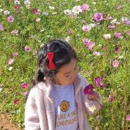 [세아네 주말 나들이]서울근교 꽃구경은 여기죠!!인천 드림파크 야생화단지