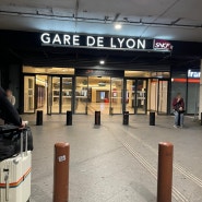 [파리에서 스위스 몽트뢰 가는 방법] 파리 리옹역 기차. 스위스 텍스리펀 주의사항. 파리 기차앱 SNCF, 스위스 SBB 어플 이용 방법.
