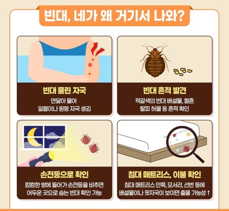 빈대 방역 및 예방법! : 네이버 블로그