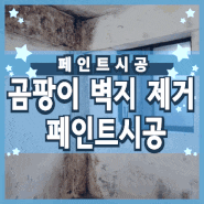 강남구 대치동 8평 곰팡이 벽지 제거 및 페인트 시공