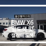 [울산휠마스터] BMW X6 블랙유광 분체도장 휠도색 및 캘리퍼도색 [울산휠도색, 울산휠수리, 울산휠복원, 울산캘리퍼도색]