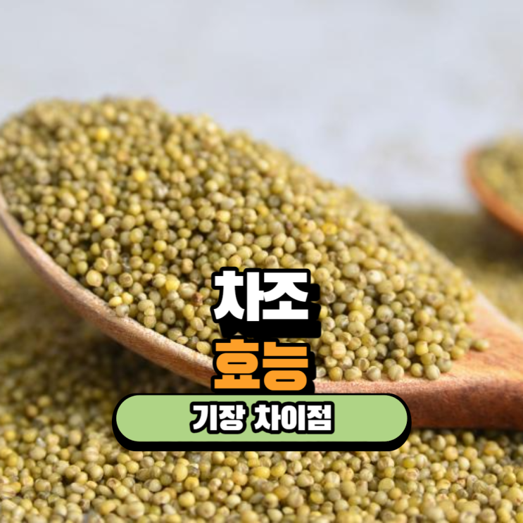 차조 기장 차이점 효능과 부작용 : 네이버 블로그