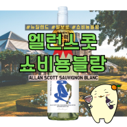 성시경 먹을텐데 화이트와인🥂 추천 앨런 스콧 쇼비뇽 블랑 (feat. 세븐일레븐 이달의와인)