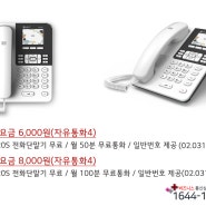 기업용인터넷전화 IP-520S 유선전화기 리뷰(일반번호도 OK)