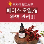 까멜리아 페이스오일 스킨아이 동백오일 사용 꿀팁!