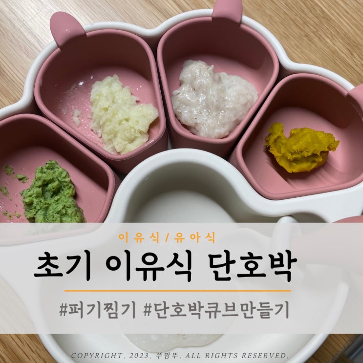 초기 이유식 퍼기찜기 단호박 찌기 큐브 만들기 : 네이버 블로그