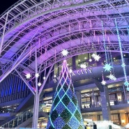 후쿠오카 하카타역 2023 크리스마스 마켓, 일루미네이션 光の街 (빛의거리)