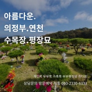 의정부수목장 미리준비하신다면