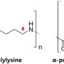 폴리리신(Polylysine)과 글리신(Glycine)의 식품 보존료