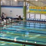 2023년 파주시수영연맹 회장배 수영대회 후기