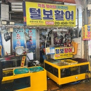 통영횟집 털보활어 : 통영중앙시장 회 초장집 이용 후기