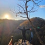 대전여행 가볼만한곳 장태산자연휴양림 가을명소 실시간 단풍